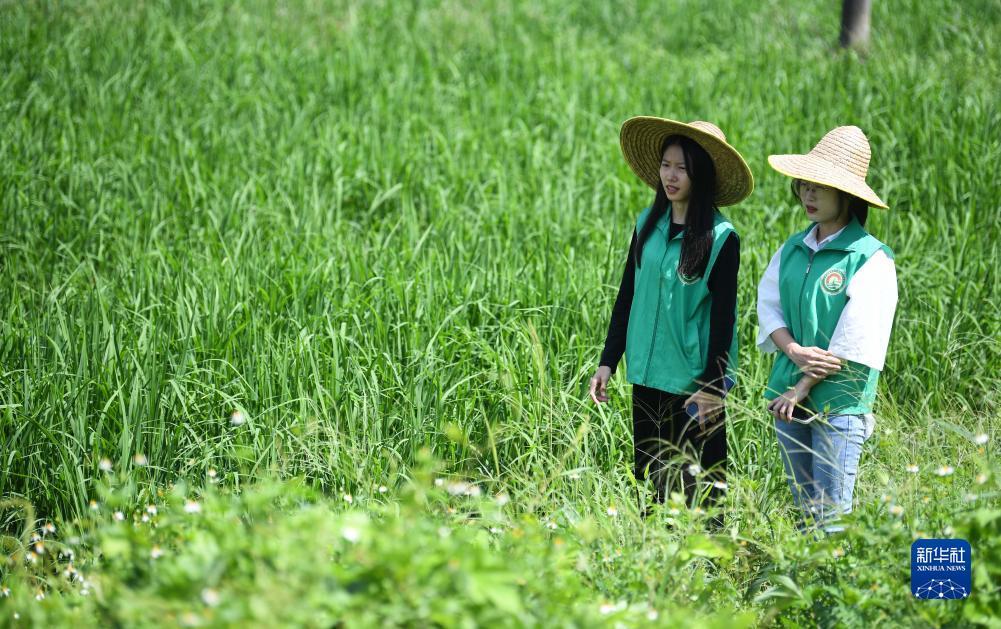 白菜网2018体验金
